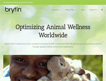 Tablet Screenshot of brytinproducts.com